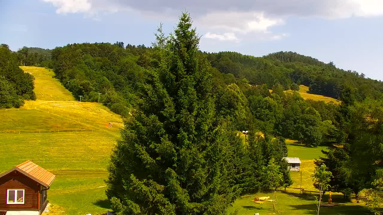 Webcam Lokve – La beauté de la forêt de Trnovo