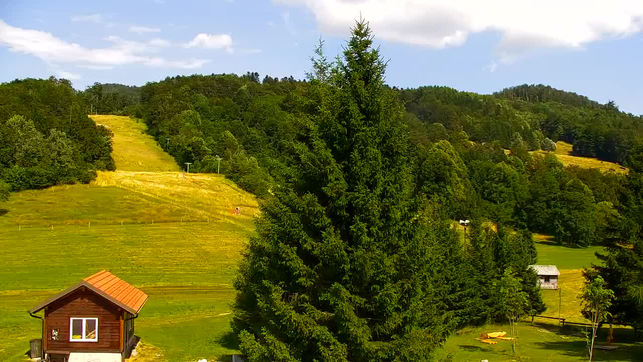 Webcam Loqua / Lokve – La bellezza della selva di Tarnova