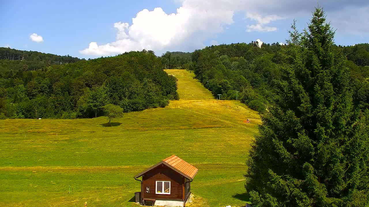 Webcam Lokve – La beauté de la forêt de Trnovo