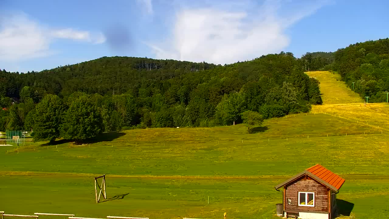 Webcam Lokve – The beauty of the Trnovo forest
