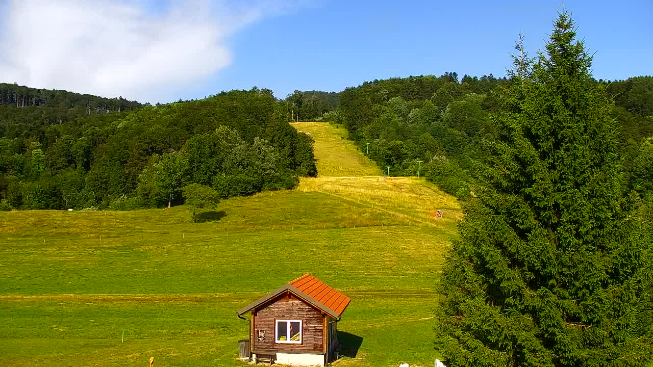Webcam Loqua / Lokve – La bellezza della selva di Tarnova
