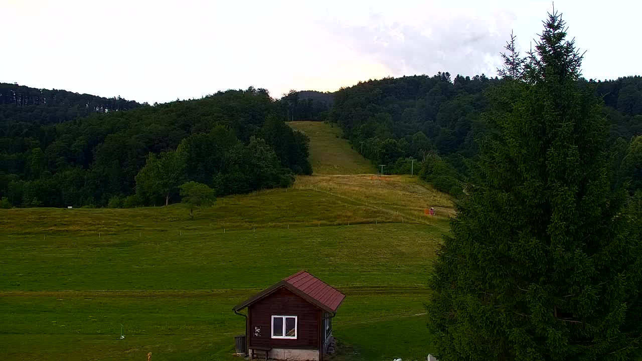 Webcam Lokve – La beauté de la forêt de Trnovo