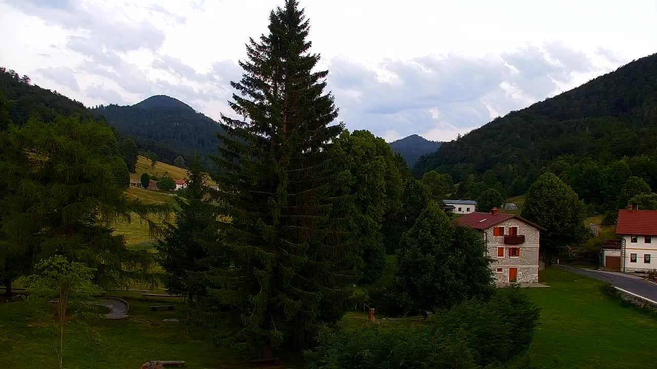 Webcam Lokve – The beauty of the Trnovo forest