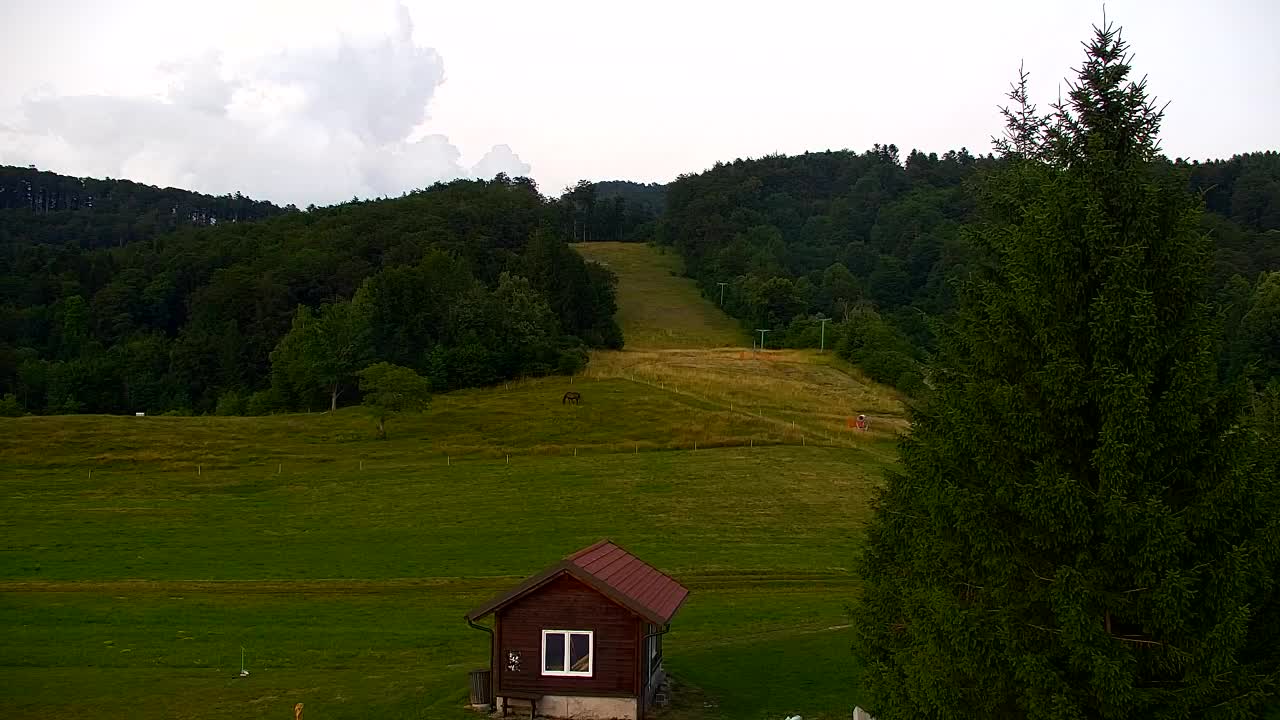 Camera en vivo Lokve – La belleza del bosque de Trnovo