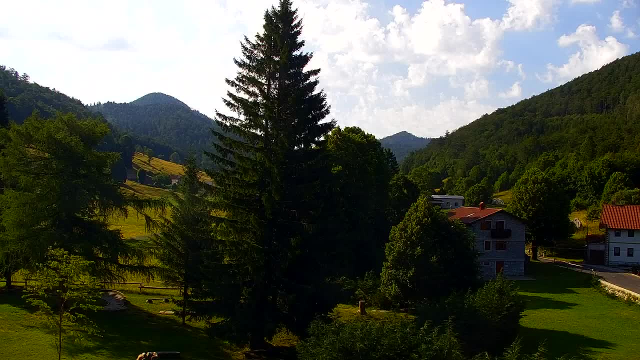 Webcam Lokve – The beauty of the Trnovo forest
