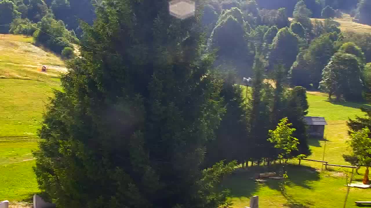 Webcam Lokve – The beauty of the Trnovo forest
