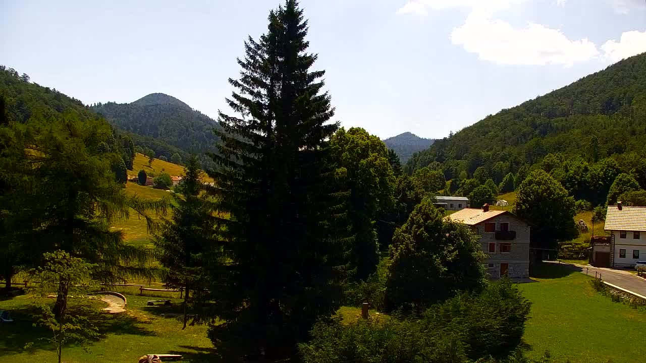 Webcam Loqua / Lokve – La bellezza della selva di Tarnova