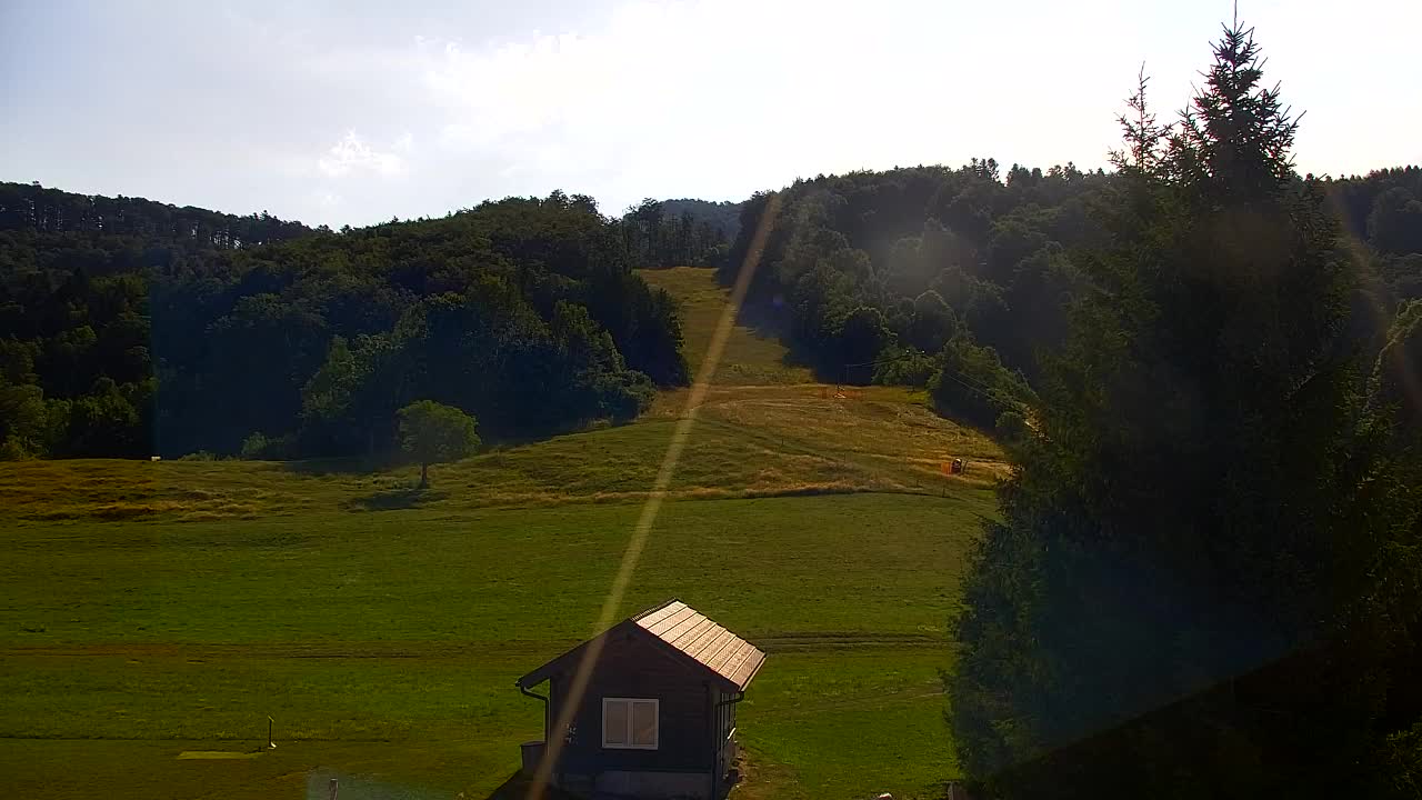 Webcam Lokve – The beauty of the Trnovo forest