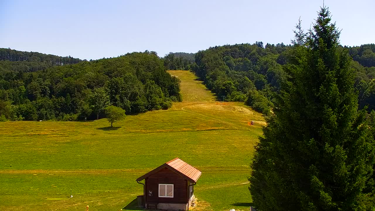 Webcam Loqua / Lokve – La bellezza della selva di Tarnova