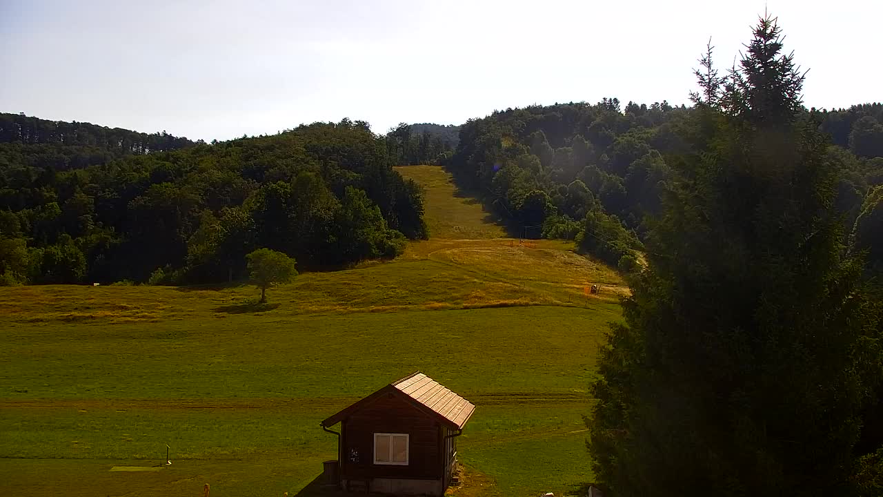 Webcam Loqua / Lokve – La bellezza della selva di Tarnova