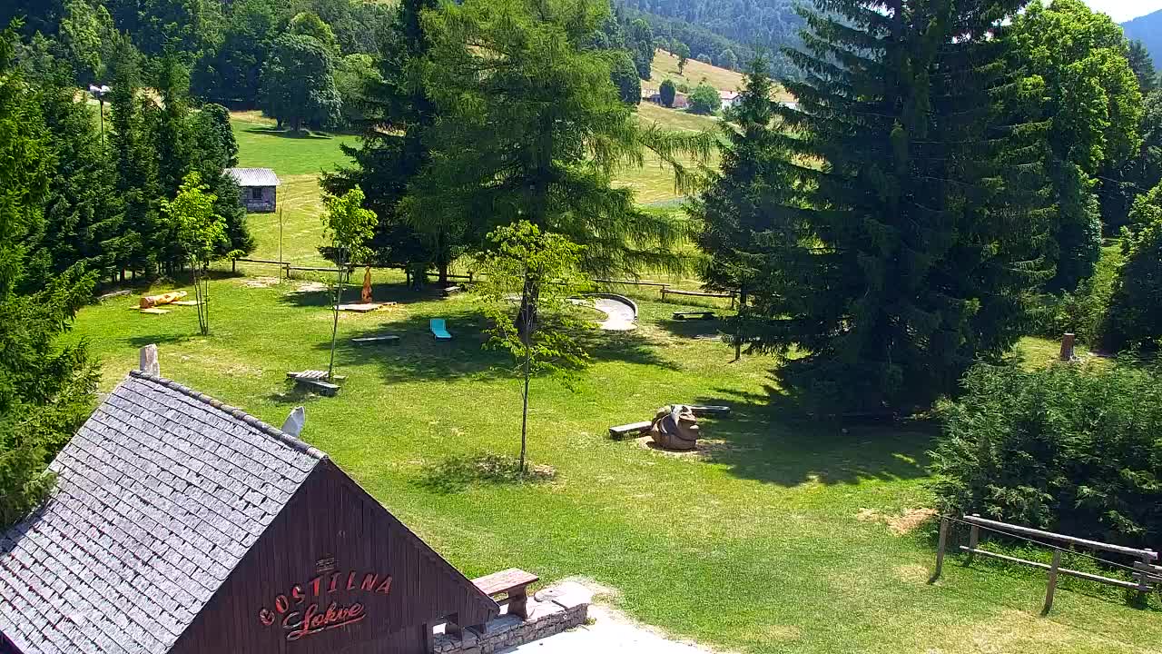 Webcam Loqua / Lokve – La bellezza della selva di Tarnova