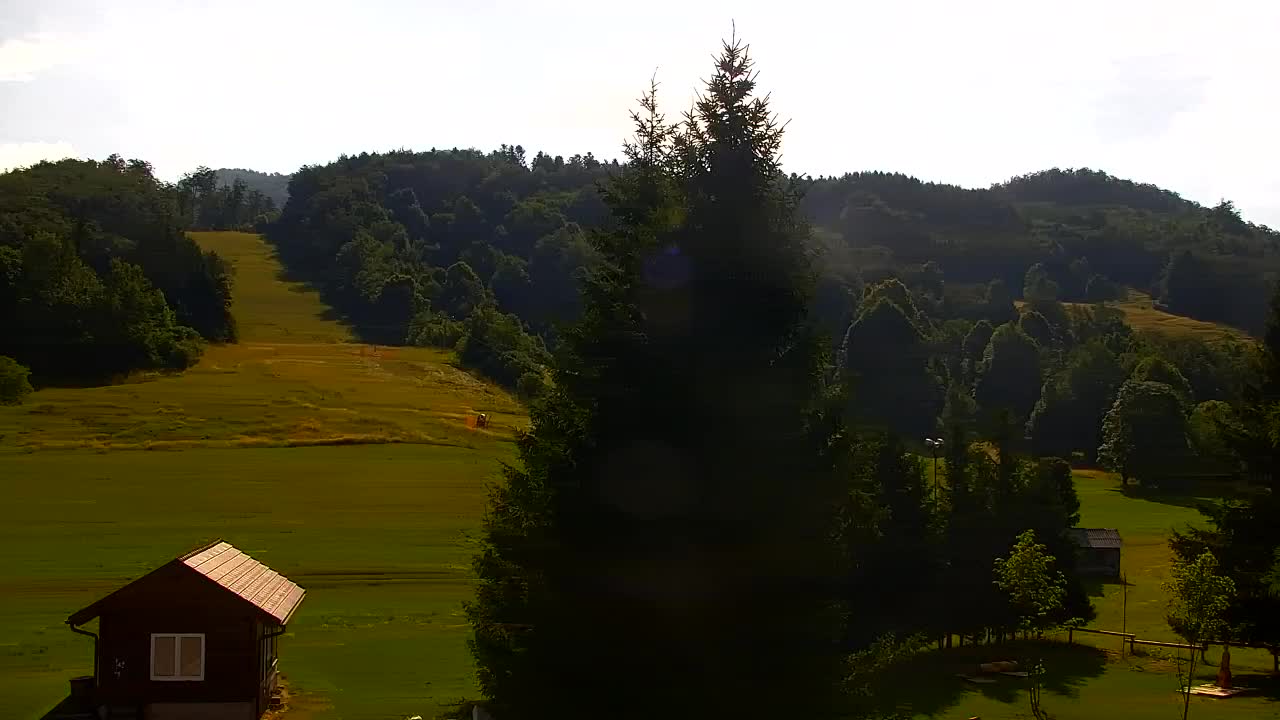 Webcam Loqua / Lokve – La bellezza della selva di Tarnova