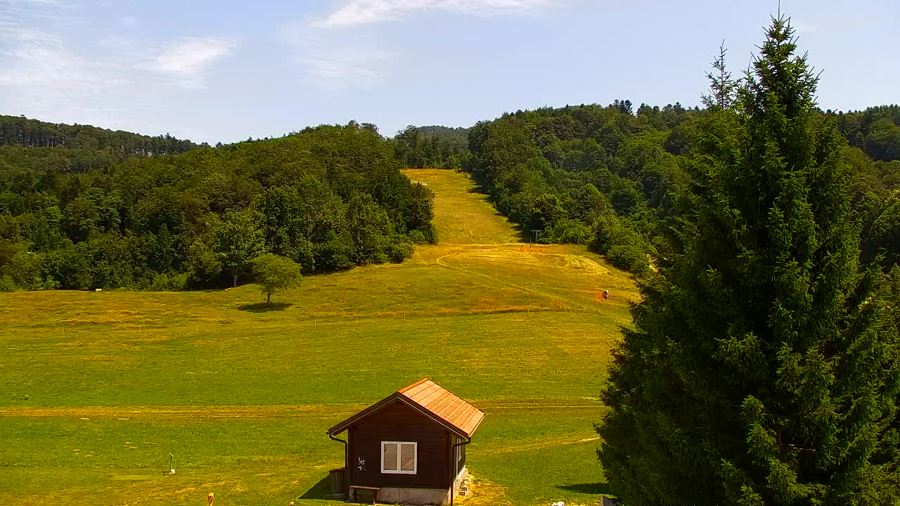 Webcam Lokve – The beauty of the Trnovo forest