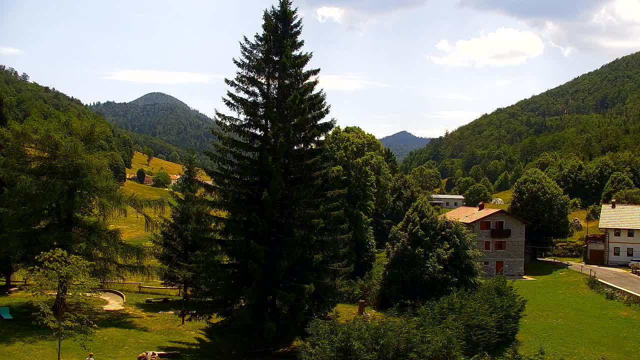 Camera en vivo Lokve – La belleza del bosque de Trnovo