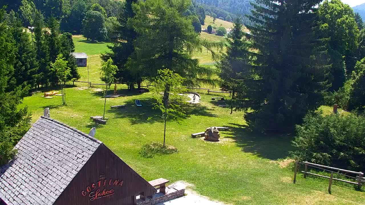 Webcam Lokve – The beauty of the Trnovo forest