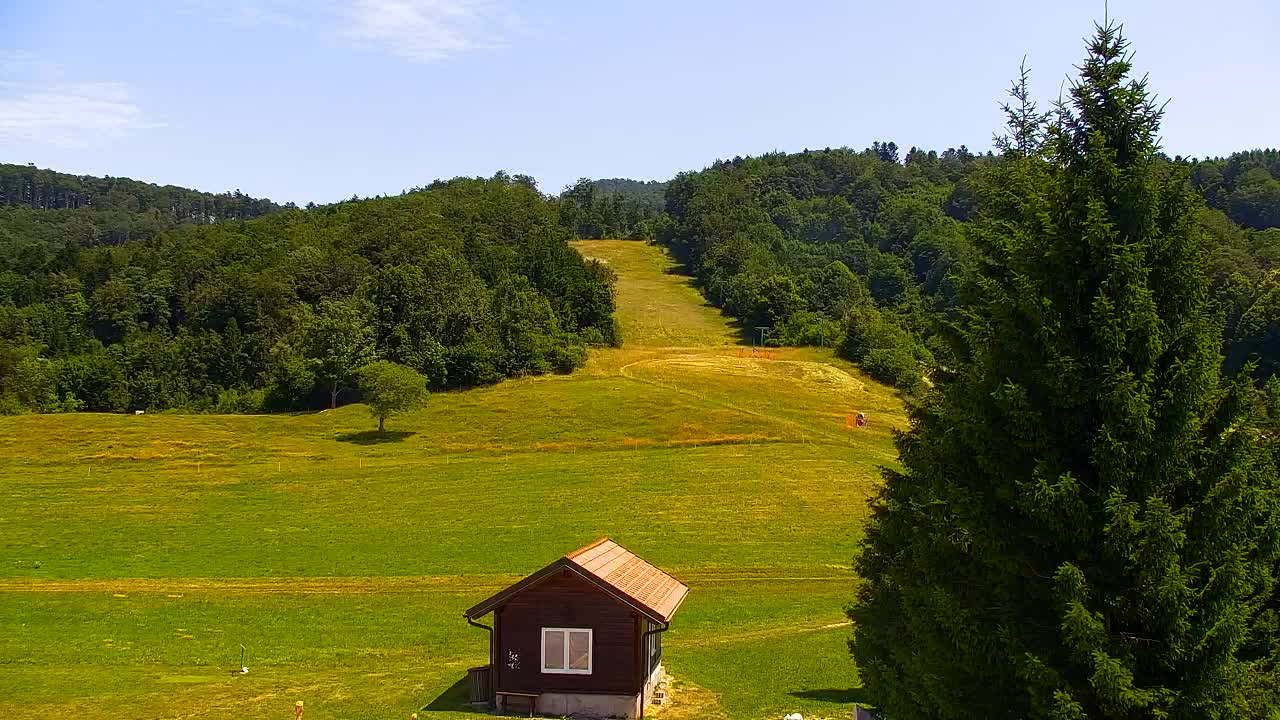 Webcam Lokve – La beauté de la forêt de Trnovo
