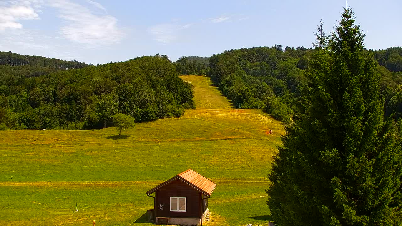 Webcam Lokve – The beauty of the Trnovo forest