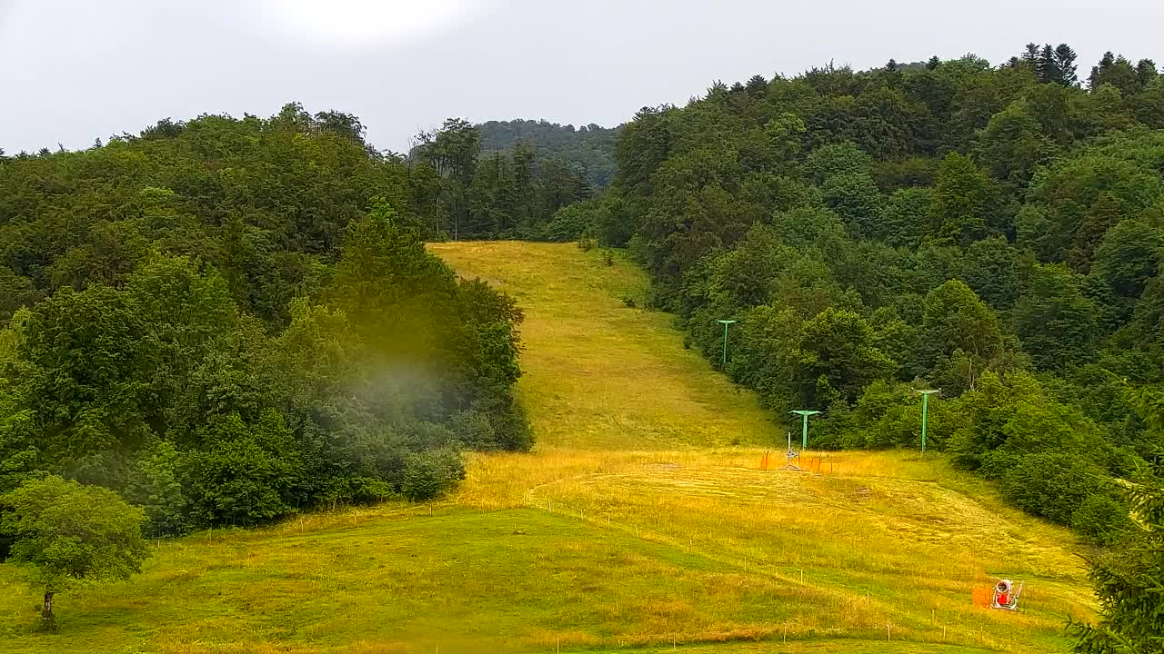 Camera en vivo Lokve – La belleza del bosque de Trnovo