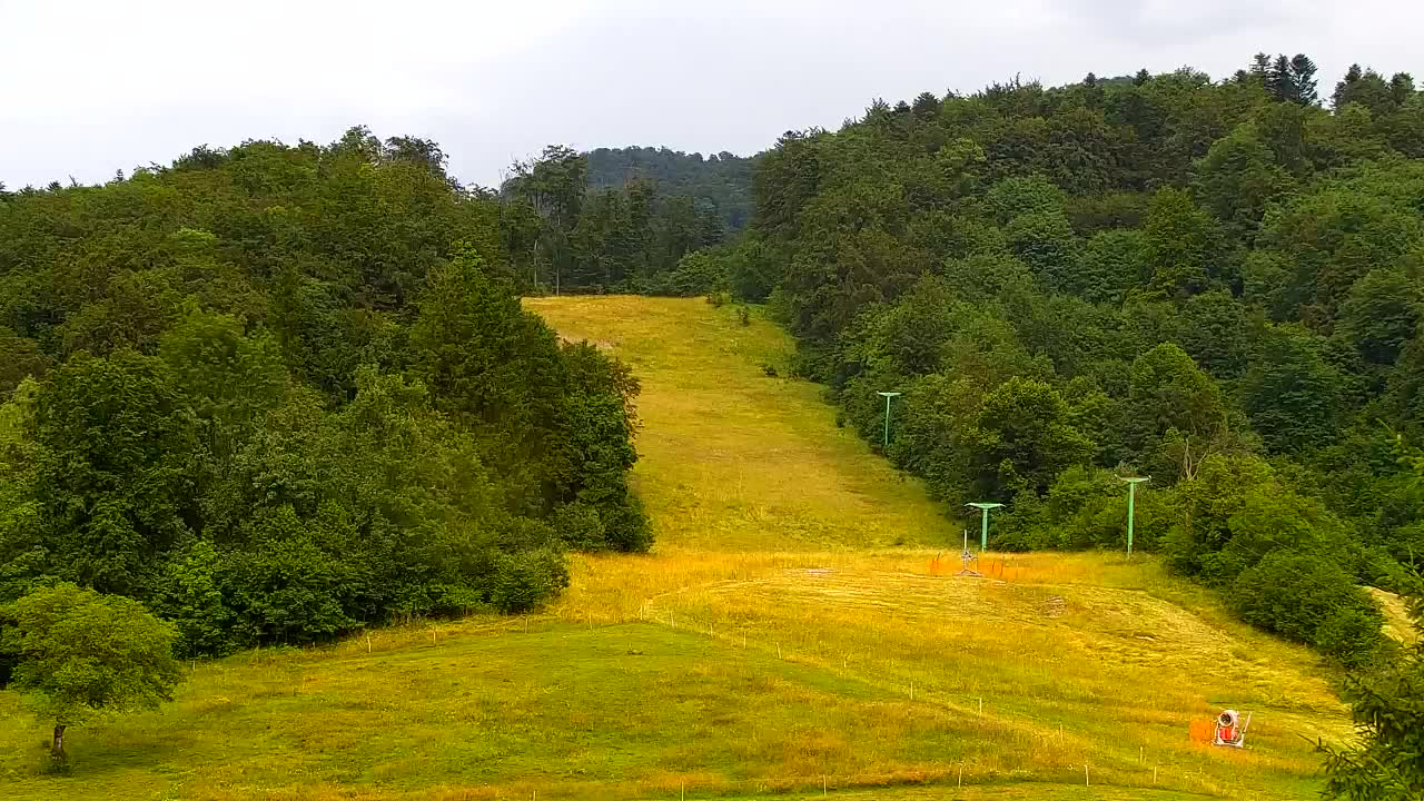 Webcam Lokve – The beauty of the Trnovo forest