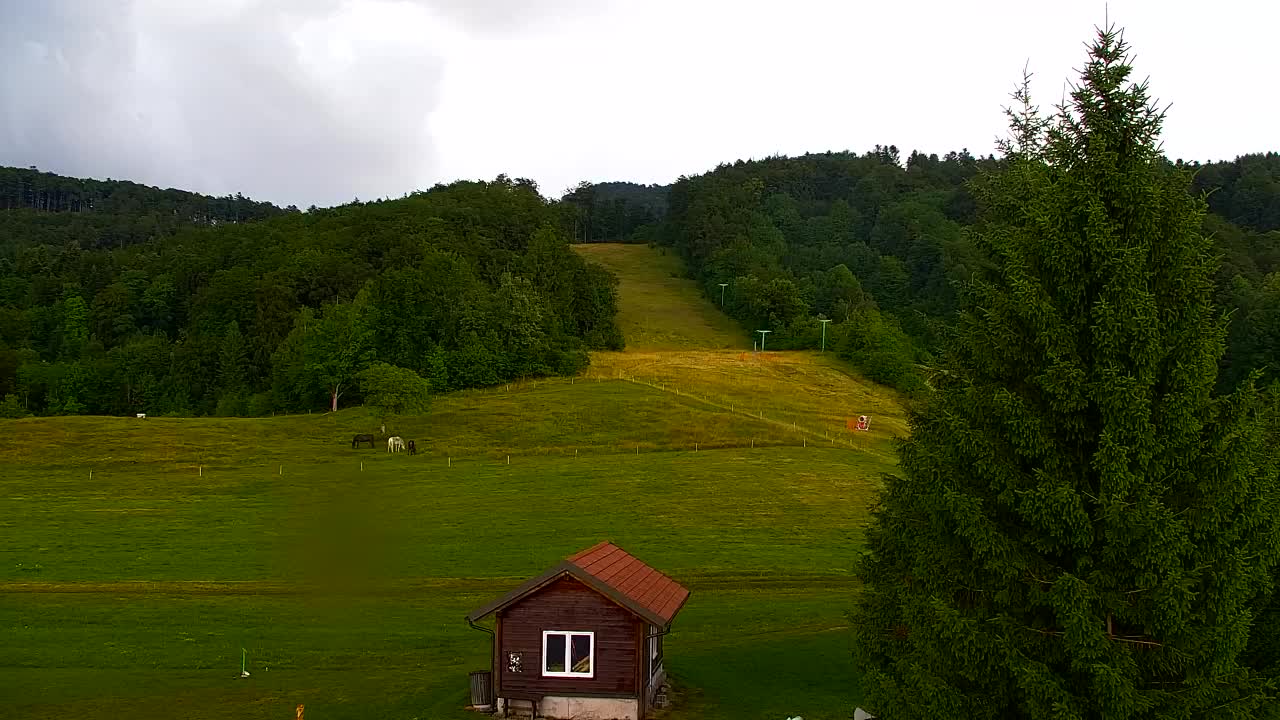 Webcam Lokve – The beauty of the Trnovo forest