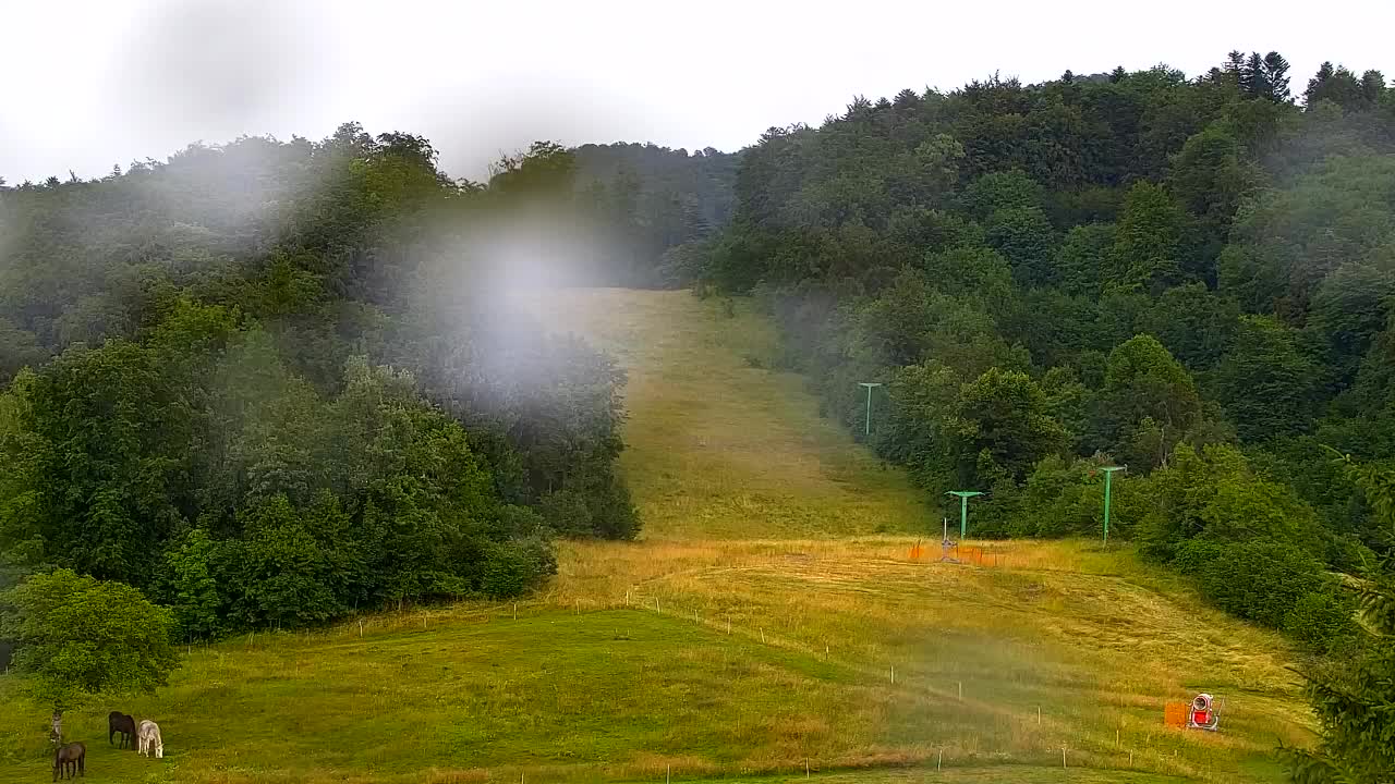 Webcam Loqua / Lokve – La bellezza della selva di Tarnova