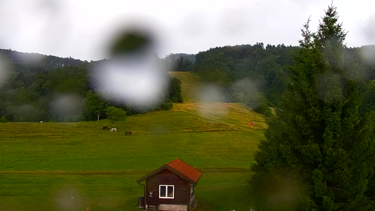 Camera en vivo Lokve – La belleza del bosque de Trnovo