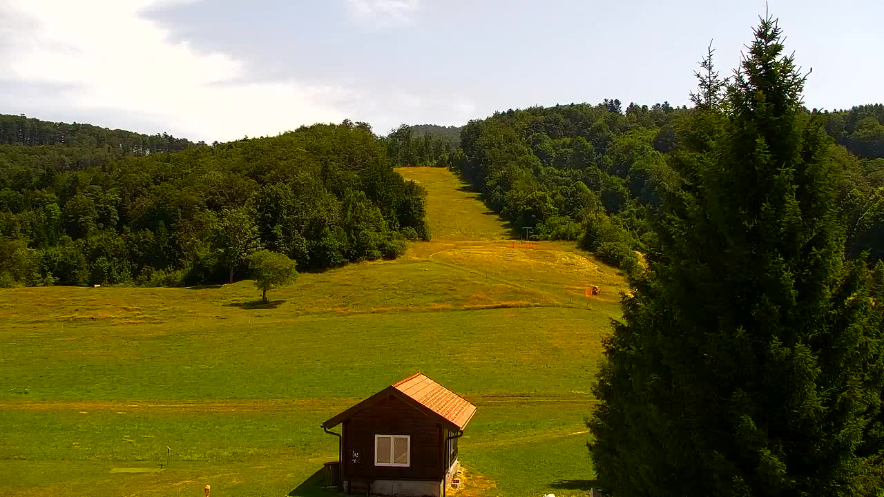 Webcam Lokve – The beauty of the Trnovo forest