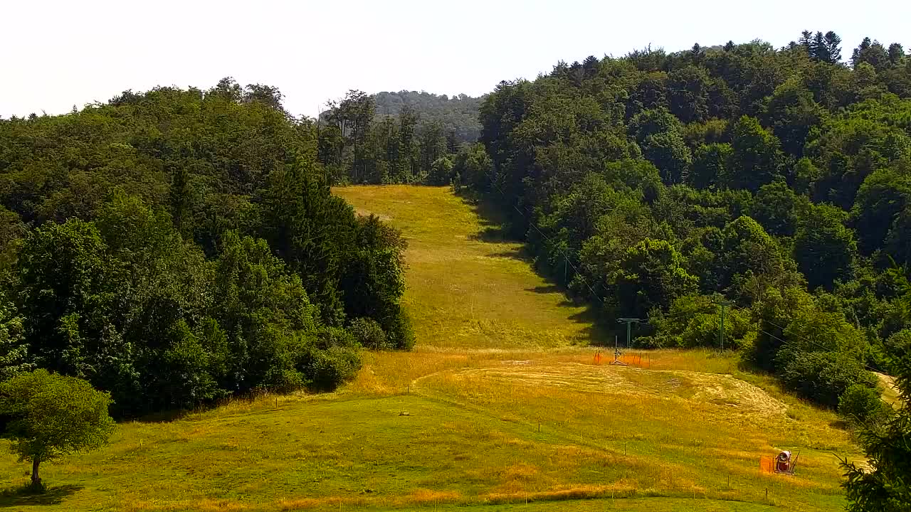 Webcam Lokve – The beauty of the Trnovo forest
