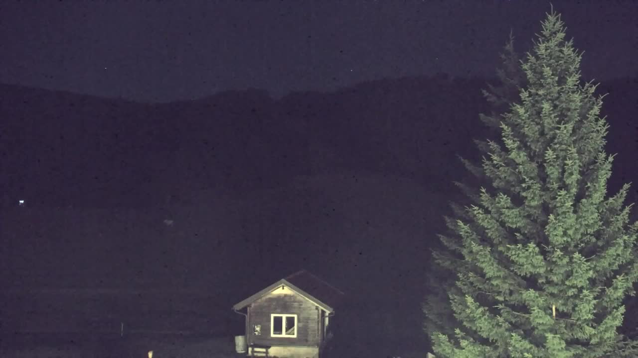 Camera en vivo Lokve – La belleza del bosque de Trnovo
