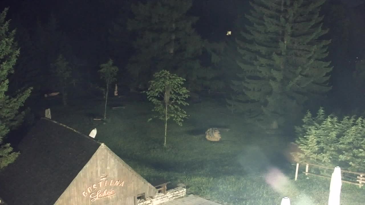 Webcam Lokve – The beauty of the Trnovo forest
