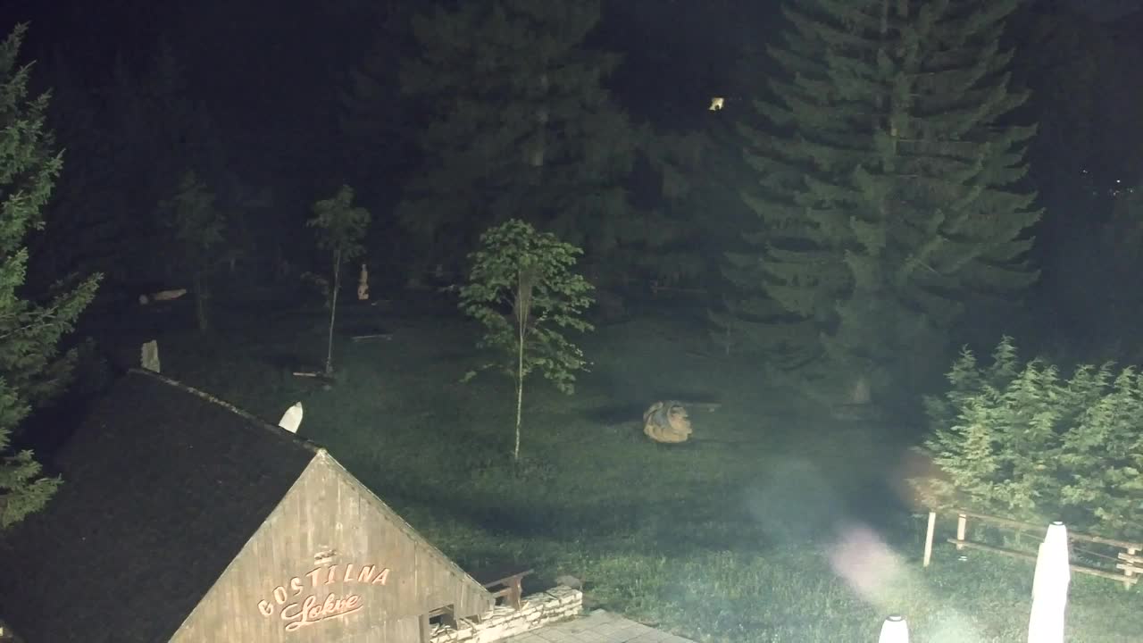 Webcam Lokve – La beauté de la forêt de Trnovo