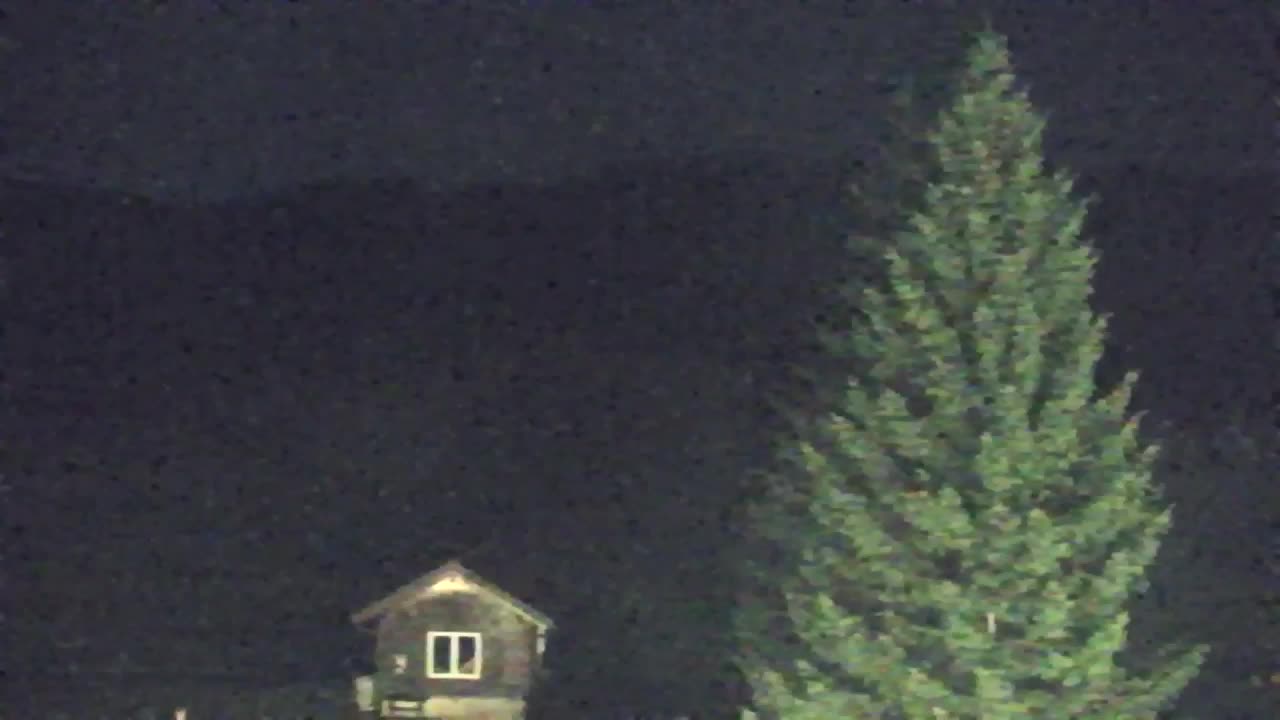 Webcam Loqua / Lokve – La bellezza della selva di Tarnova
