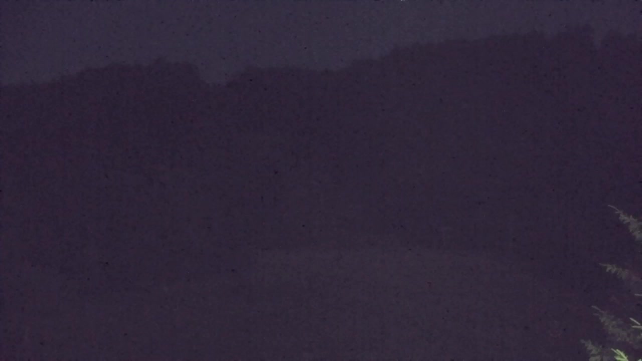 Webcam Lokve – The beauty of the Trnovo forest