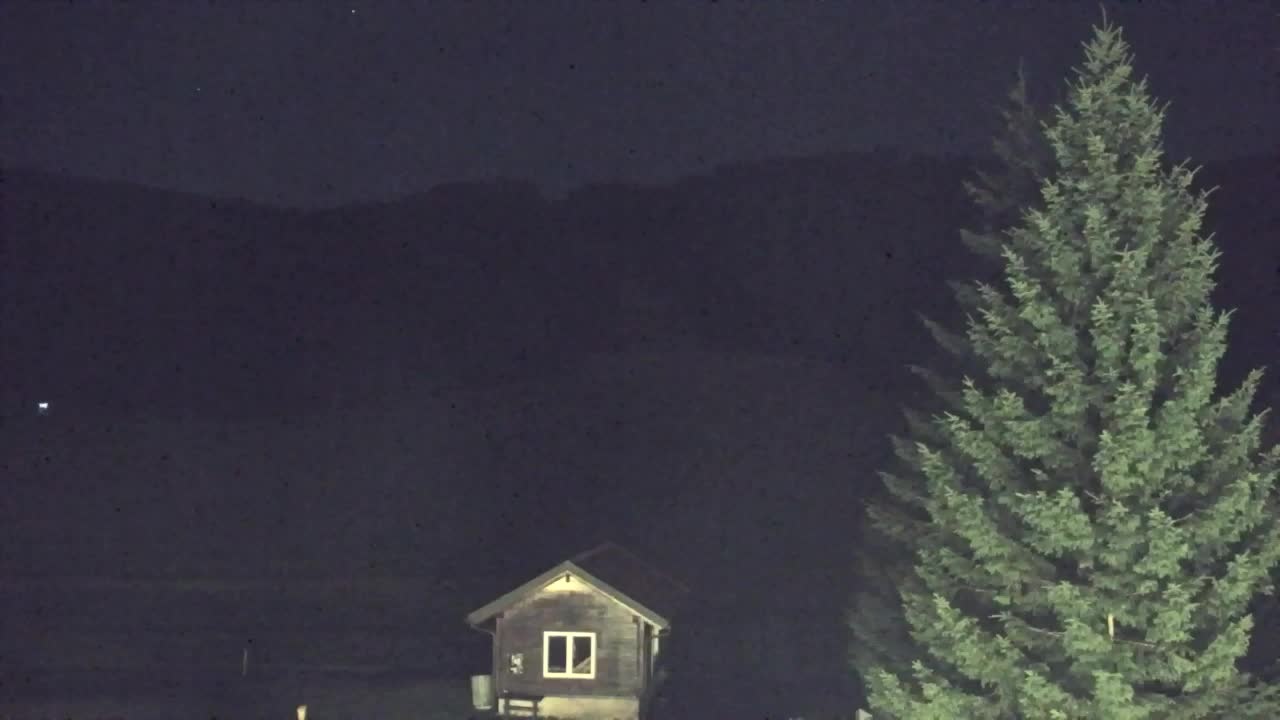 Webcam Lokve – The beauty of the Trnovo forest