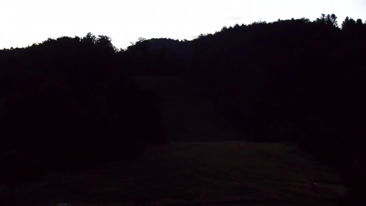Webcam Lokve – The beauty of the Trnovo forest