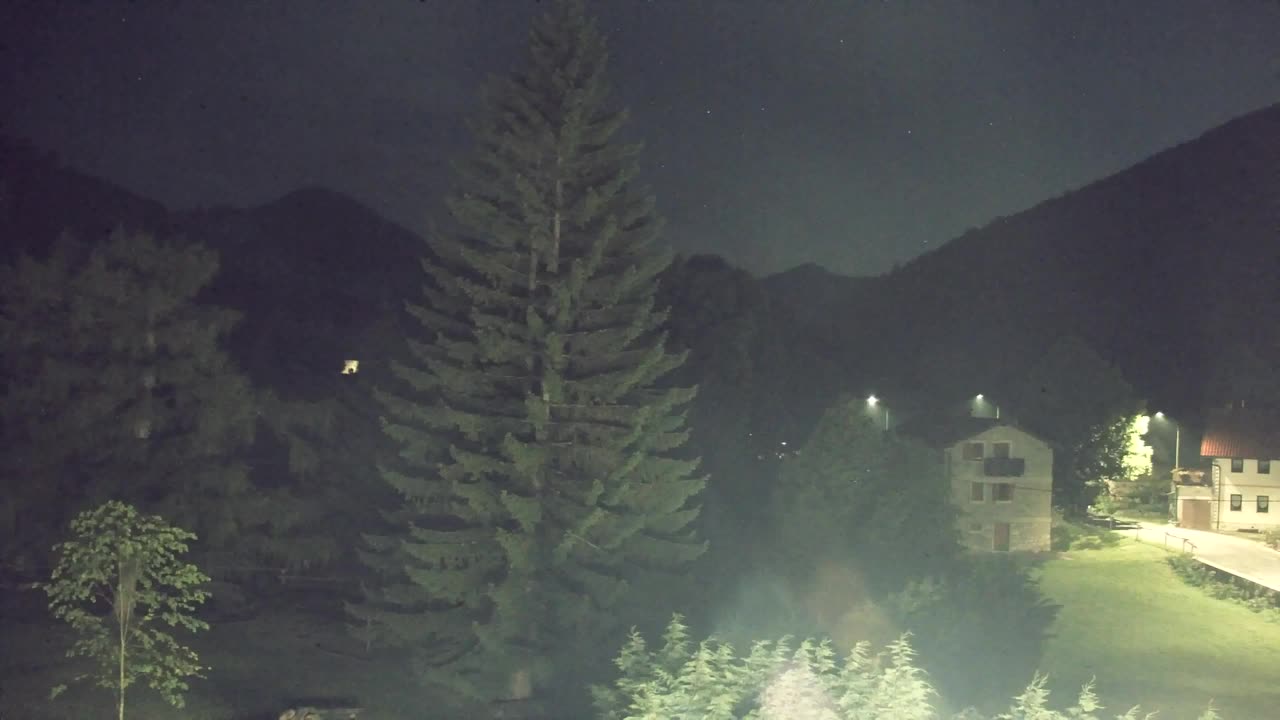 Webcam Loqua / Lokve – La bellezza della selva di Tarnova