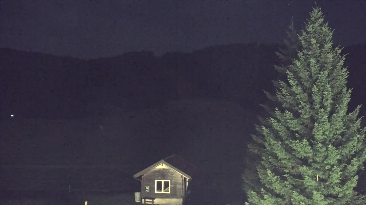 Webcam Lokve – The beauty of the Trnovo forest