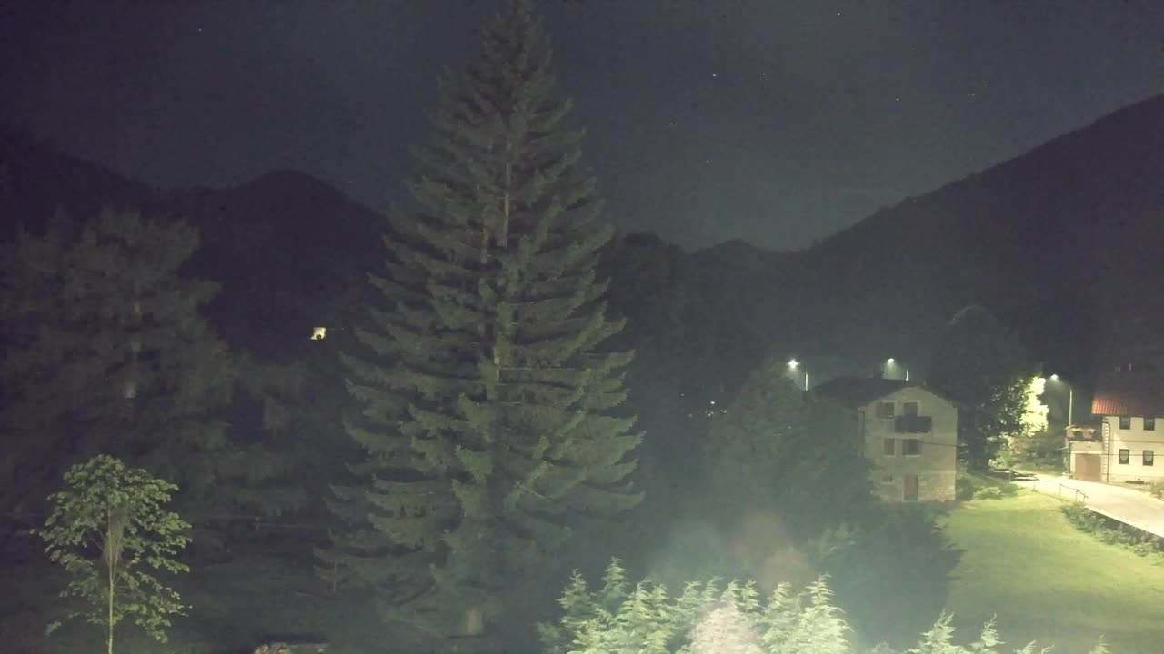 Webcam Loqua / Lokve – La bellezza della selva di Tarnova