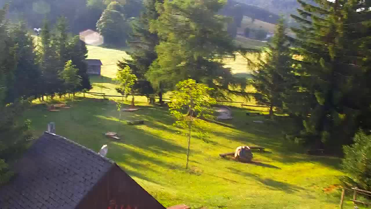 Webcam Lokve – Die Schönheit des Trnovo-Waldes