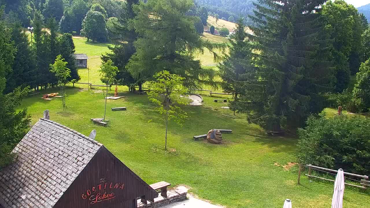 Webcam Lokve – The beauty of the Trnovo forest