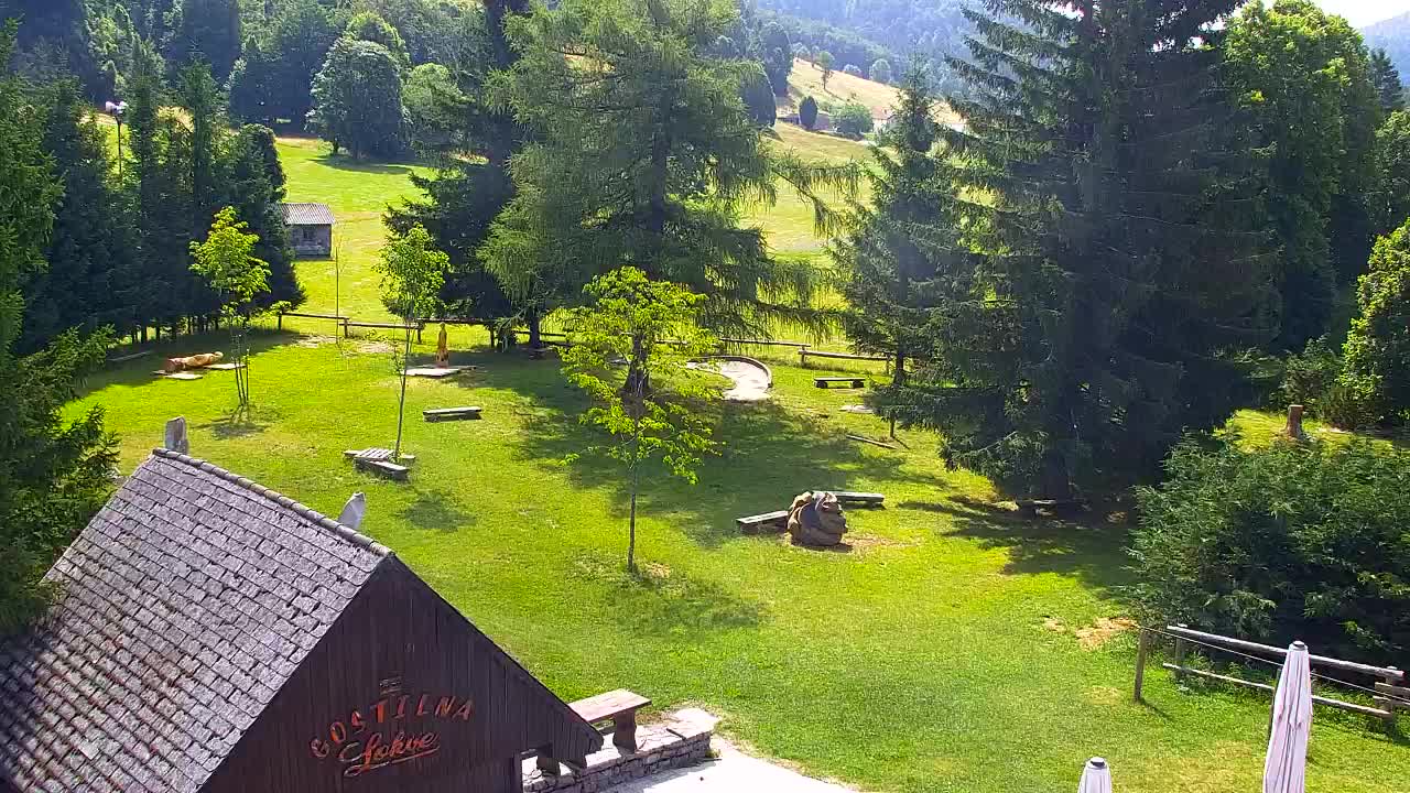 Webcam Loqua / Lokve – La bellezza della selva di Tarnova