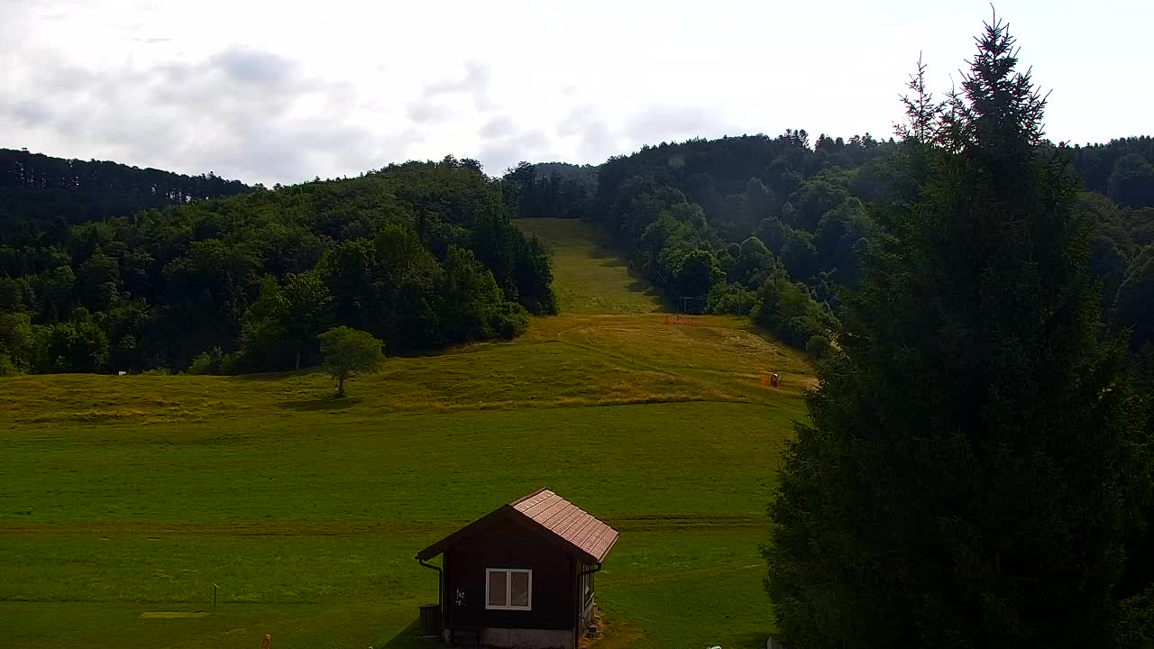 Webcam Loqua / Lokve – La bellezza della selva di Tarnova