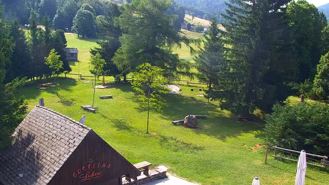 Webcam Lokve – The beauty of the Trnovo forest