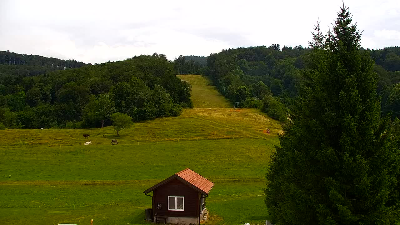 Webcam Lokve – Die Schönheit des Trnovo-Waldes