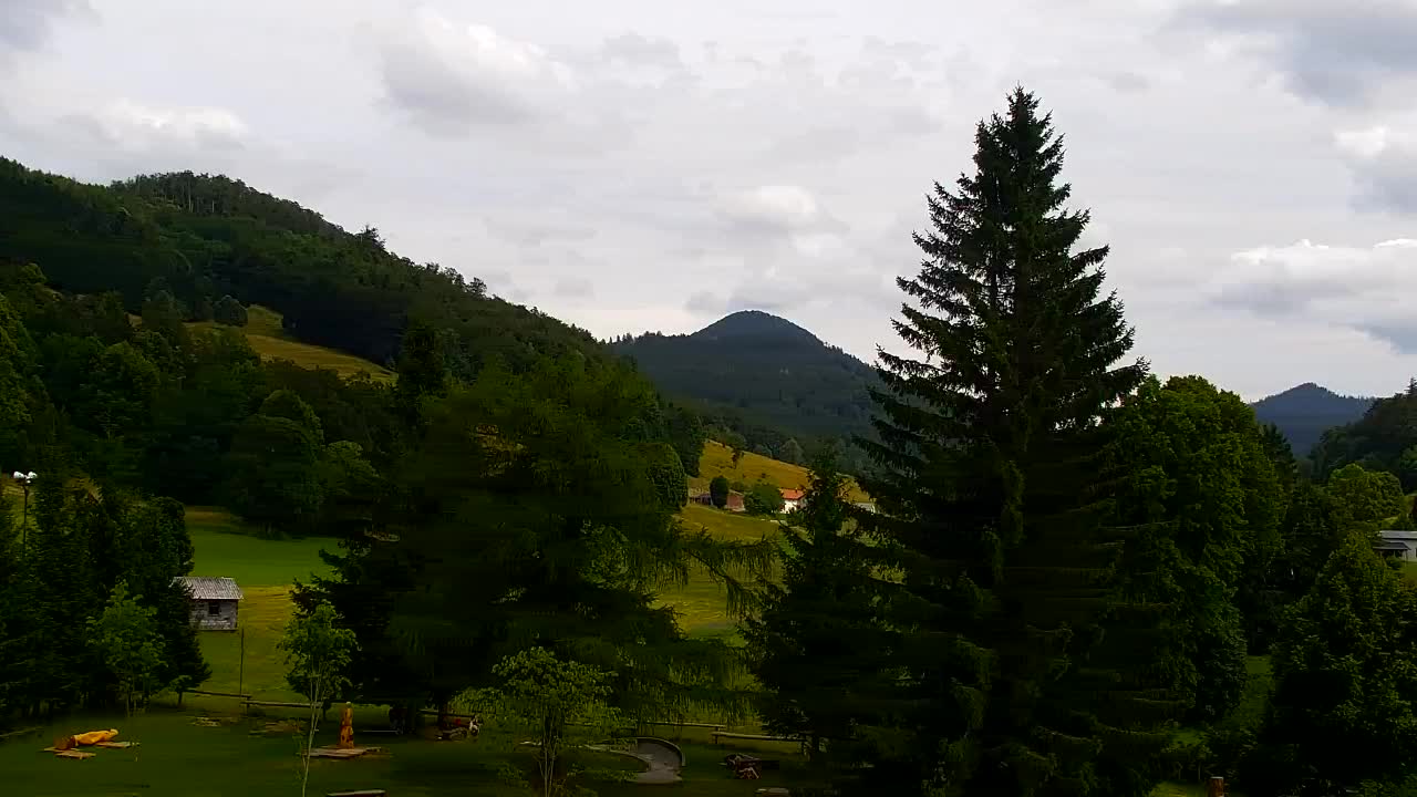 Webcam Loqua / Lokve – La bellezza della selva di Tarnova