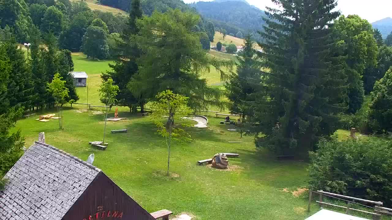 Webcam Loqua / Lokve – La bellezza della selva di Tarnova