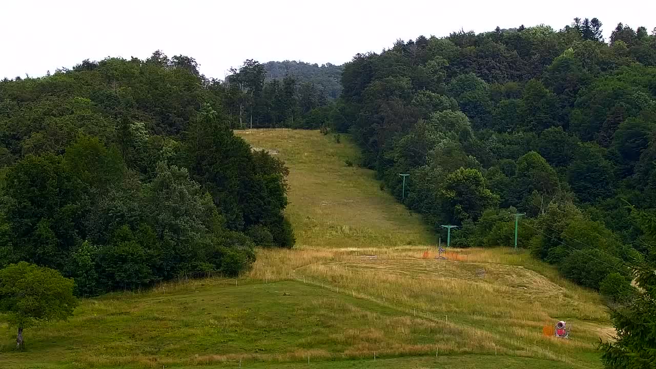 Webcam Lokve – La beauté de la forêt de Trnovo