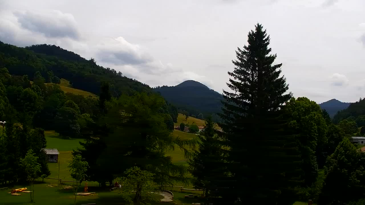 Webcam Lokve – La beauté de la forêt de Trnovo