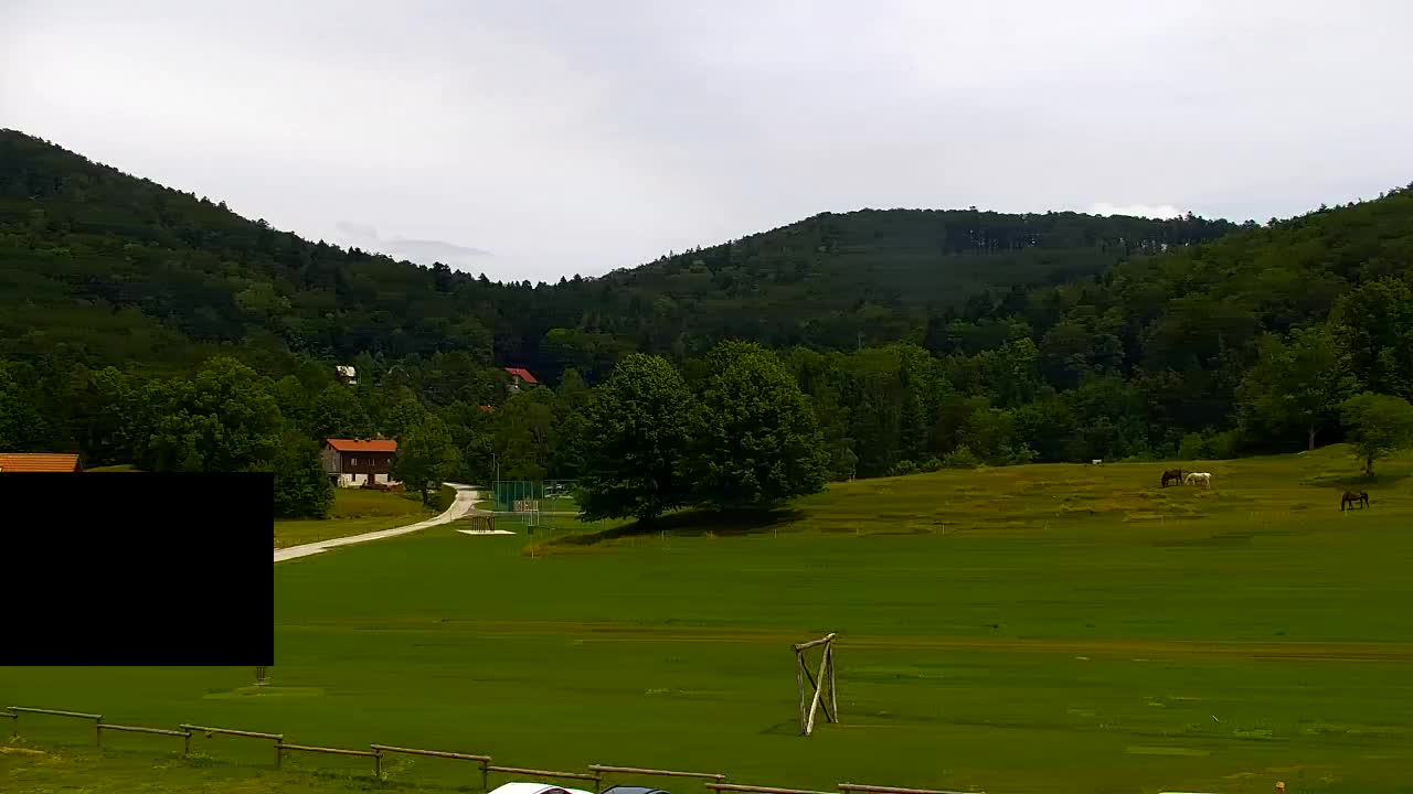 Webcam Lokve – The beauty of the Trnovo forest