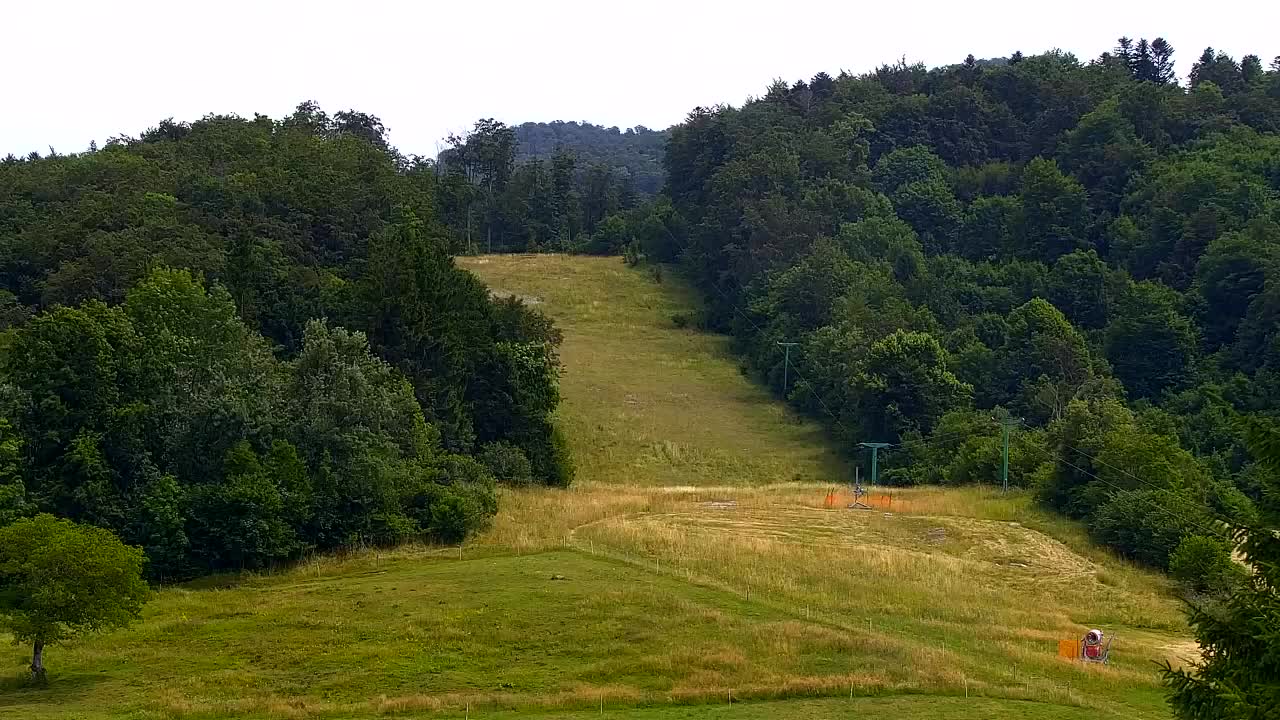 Webcam Lokve – The beauty of the Trnovo forest